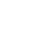 GRAPHIC CARD (VGA)